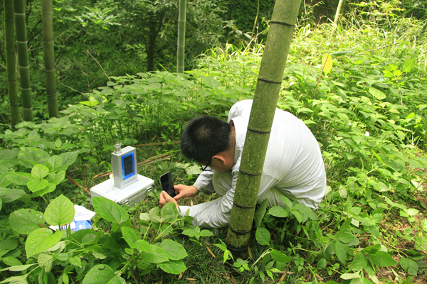 測(cè)空氣.png 測(cè)空氣.png